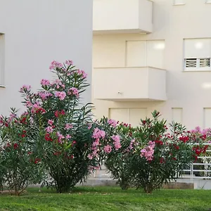 Luce Gold Apartament